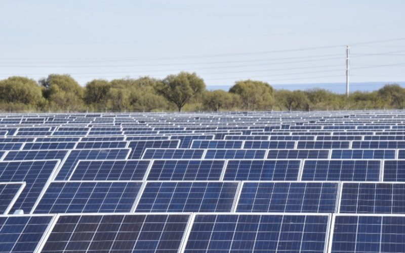 Este viernes se realizará el Primer Meeting Empresarial de Energías Renovables