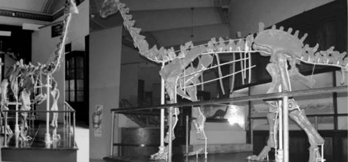 Investigadores Argentinos hallaron un fósil de dinosario de 85 millones de años.
