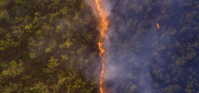 Premiaron una foto dramática de la devastación que dejó un incendio forestal en Australia