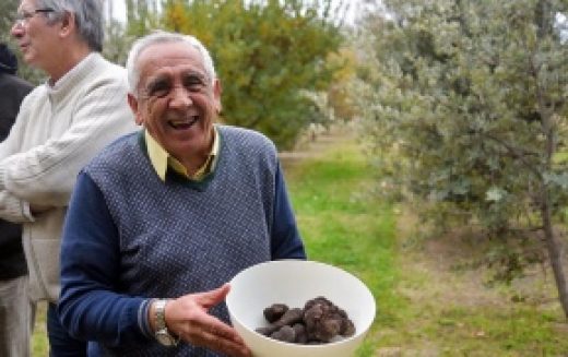 Crecen las ventas al exterior de trufas, un hongo comestible que cotiza hasta 1.500 euros el kilo