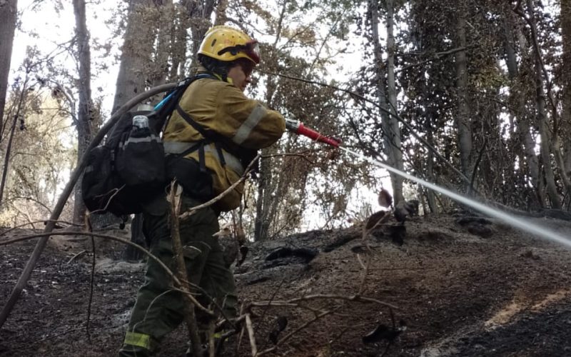 Brigadistas puntanos combaten sin tregua el fuego en el Parque Nacional Los Alerces