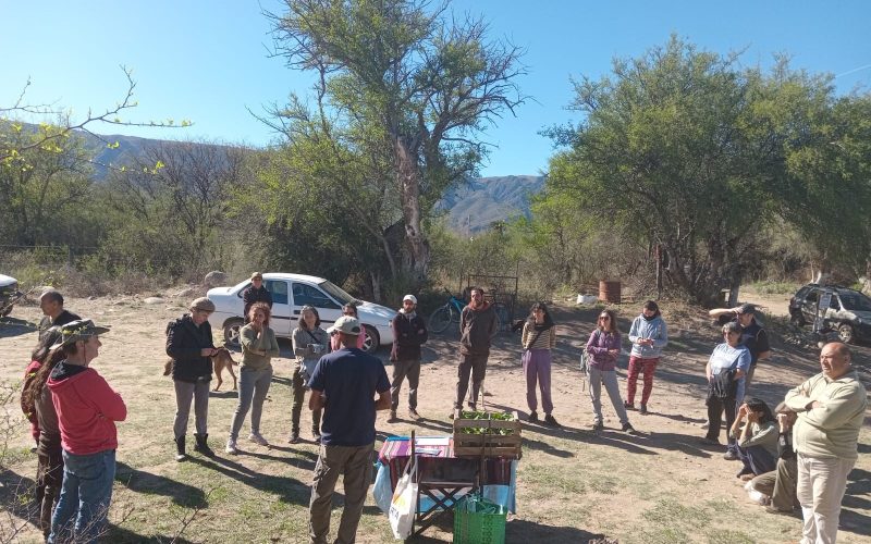Activá tu Huerta’ cierra el ciclo primavera–verano con talleres en San Luis y Villa Mercedes