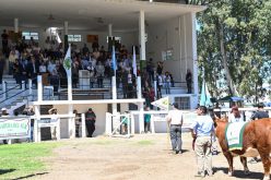 Abrió la Expo Rural San Luis 2025, un espacio de encuentro, tradición y producción